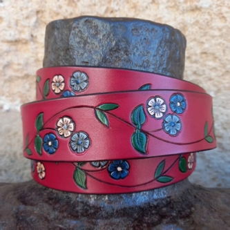 cinturones-pintados
